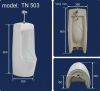 tieu-nam-co-lap-ngoai-tn-503 - ảnh nhỏ 2